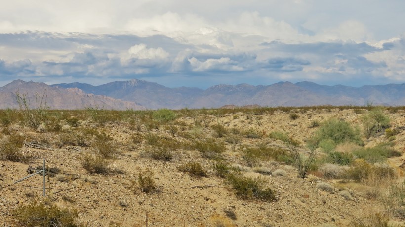 Mojave Desert Drive “People travel to wonder at the height of mountains, at the huge waves of the sea, at the long courses of rivers, at the vast compass of the ocean, at the circular motion of the stars; and they pass by themselves without wondering.” St Augustine