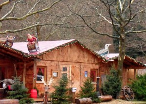 Black Forest Christmas Cabin