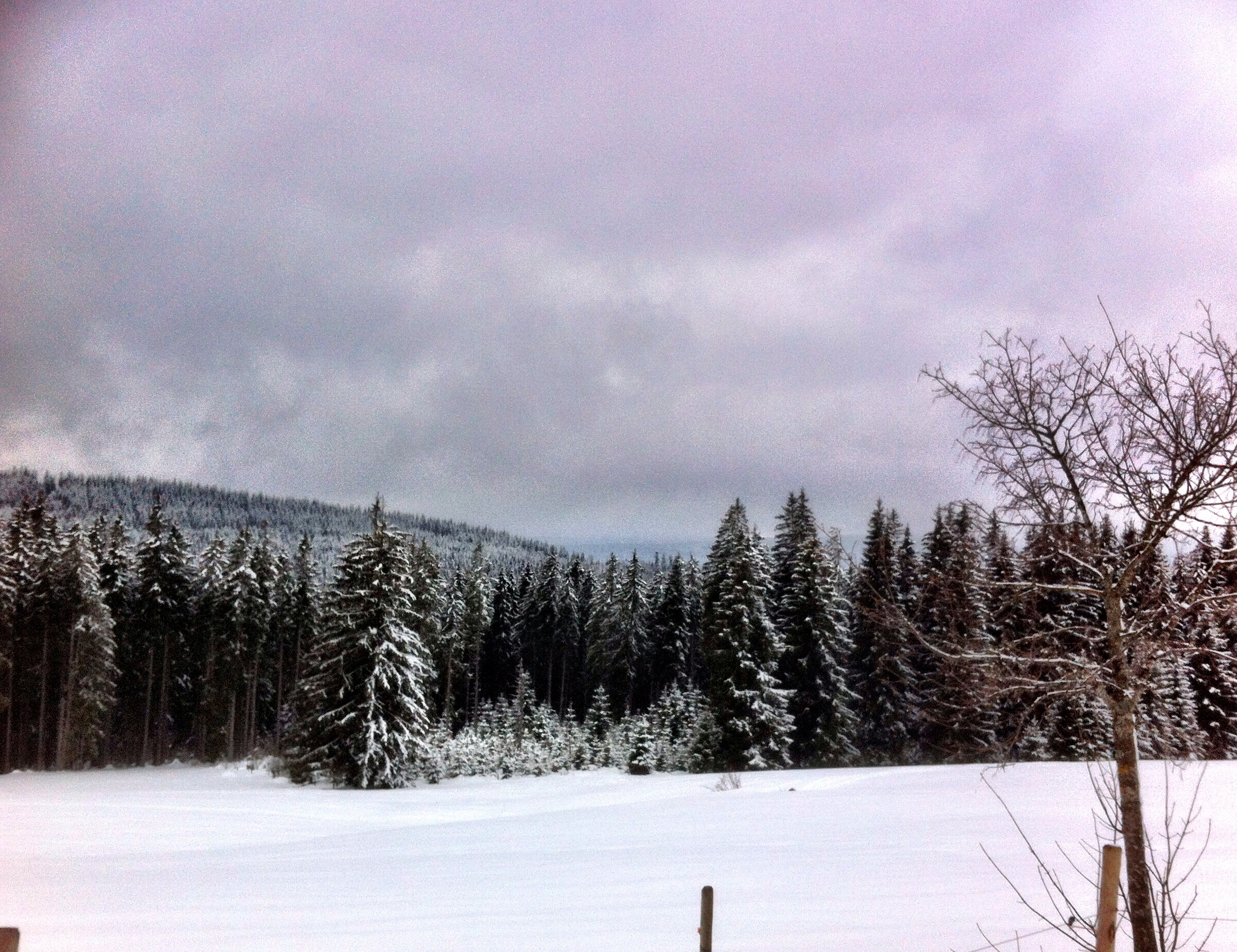 Lenzkirch on the way .....