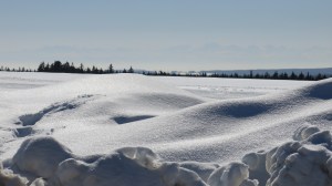 Schwarzenbach,Germany