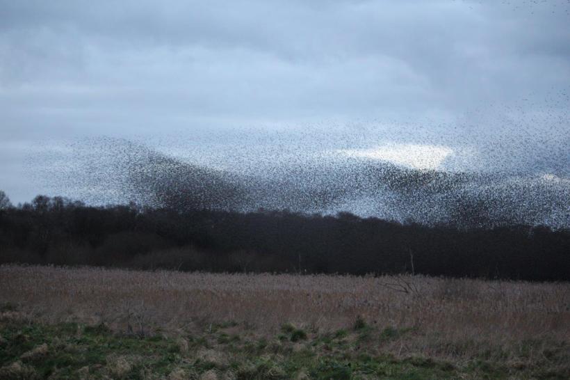 3159584C-49A2-48BE-B948-E415365762DD