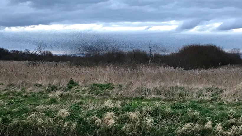 DAA8E17C-12CB-460B-A466-481DBE5FCEF3