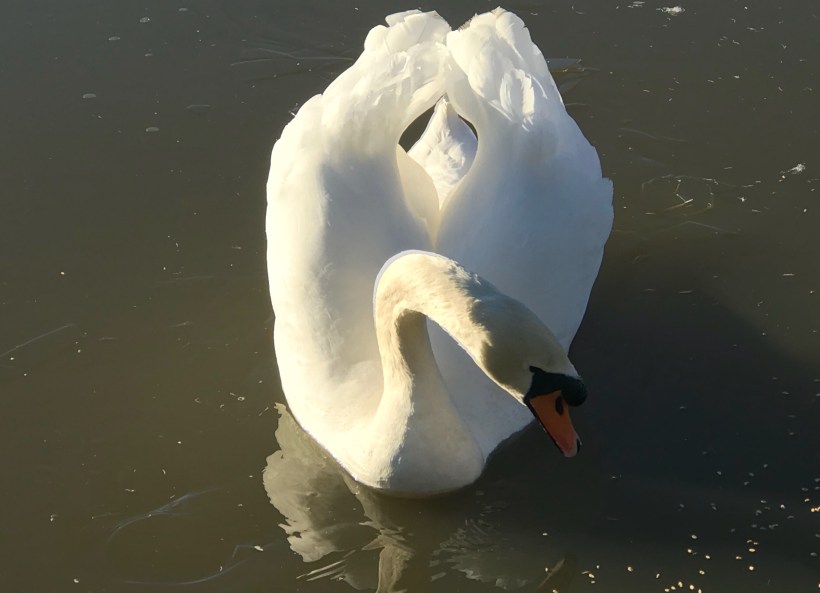 lnd_4be43e1c-4f42-4507-9e73-537f95988602